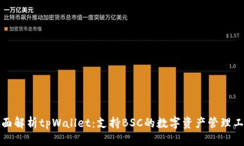 全面解析tpWallet：支持BSC的数字资产管理工具