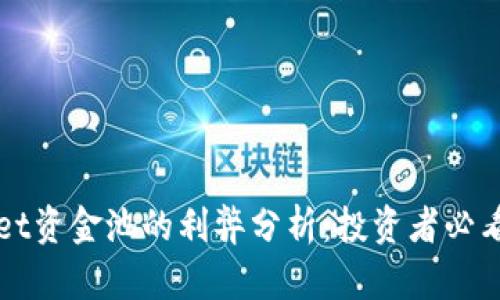 tpWallet资金池的利弊分析：投资者必看的指南