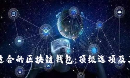 如何选择适合的区块链钱包：顶级选项及其优势分析