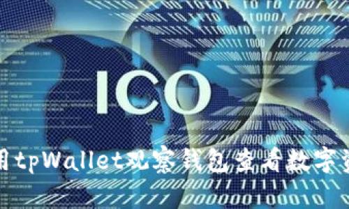 如何使用tpWallet观察钱包查看数字资产状态