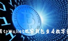 如何使用tpWallet观察钱包查