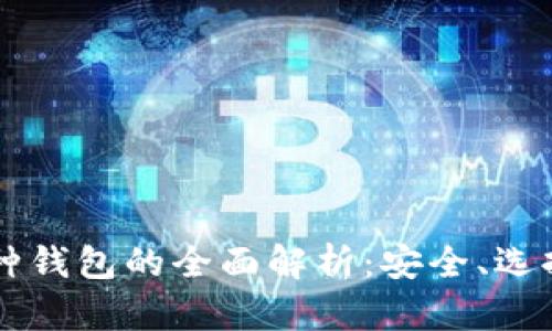 区块链多币种钱包的全面解析：安全、选择及使用指南