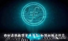 揭秘虚假数字货币钱包：