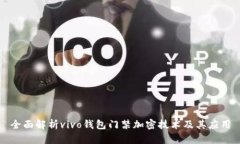 全面解析vivo钱包门禁加密