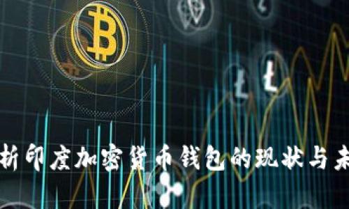 深入解析印度加密货币钱包的现状与未来发展
