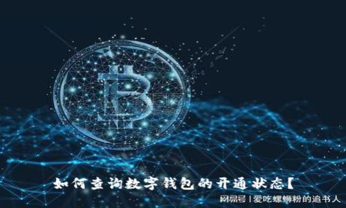 如何查询数字钱包的开通状态？
