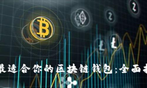 如何选择最适合你的区块链钱包：全面指南与推荐