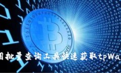如何使用批量查询工具快