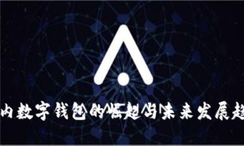 国内数字钱包的崛起与未来发展趋势