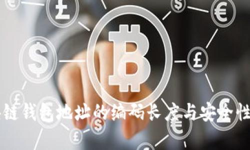 区块链钱包地址的编码长度与安全性分析
