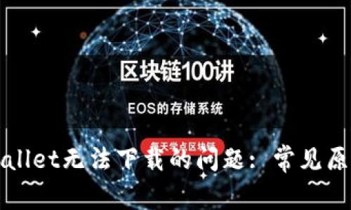 如何解决tpWallet无法下载的问题: 常见原因与解决方案