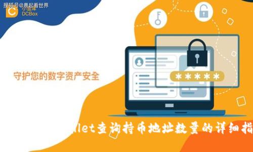 如何使用tpWallet查询持币地址数量的详细指南