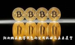 湖北地区数字钱包的使用