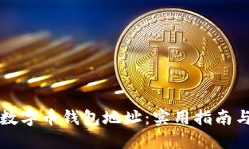 如何查询数字币钱包地址：实用指南与最佳实践
