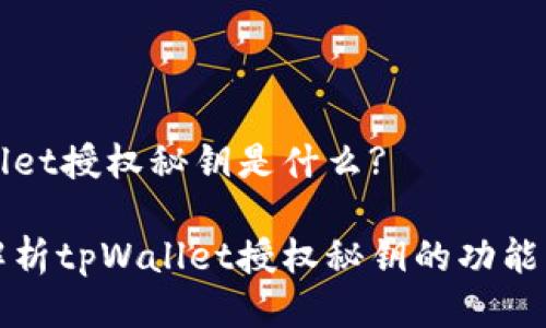 tpWallet授权秘钥是什么?

深入解析tpWallet授权秘钥的功能与应用