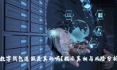 数字钱包造假是真的吗？揭示真相与风险分析