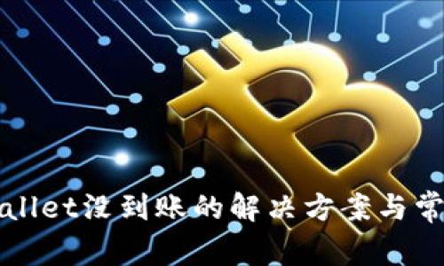 提币到tpWallet没到账的解决方案与常见问题分析