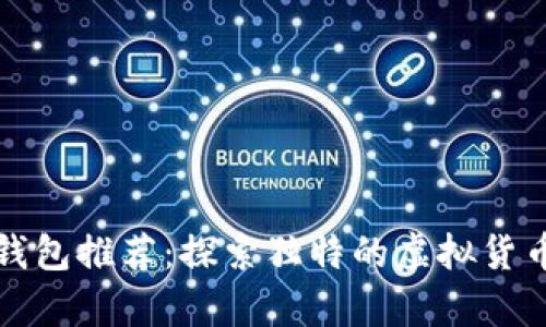 小众数字钱包推荐：探索独特的虚拟货币存储方式