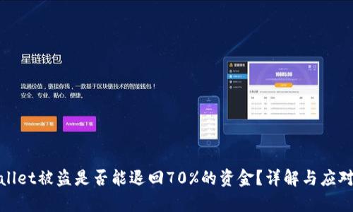 tpWallet被盗是否能退回70%的资金？详解与应对措施