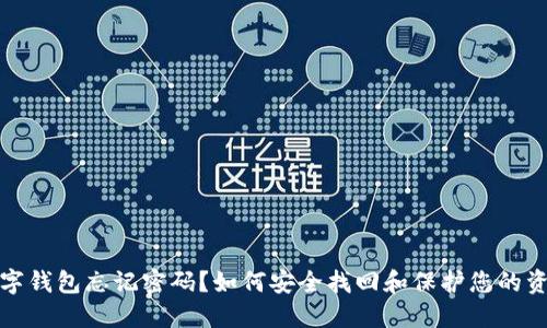 数字钱包忘记密码？如何安全找回和保护您的资产