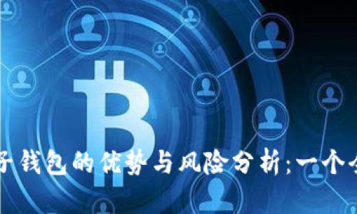 区块链电子钱包的优势与风险分析：一个全面的指南