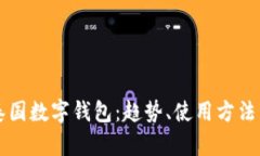 深度解析泰国数字钱包：