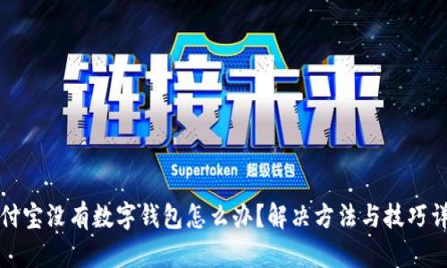 支付宝没有数字钱包怎么办？解决方法与技巧详解