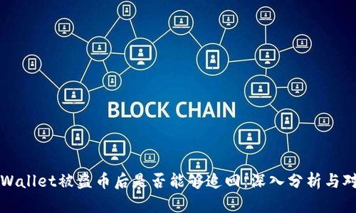 TPWallet被盗币后是否能够追回：深入分析与对策
