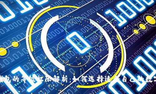 数字钱包的等级权限解析：如何选择适合自己的数字钱包