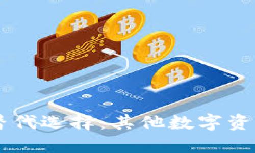 探索TPWallet的替代选择：其他数字资产钱包的最佳推荐