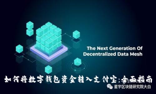 如何将数字钱包资金转入支付宝：全面指南