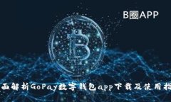 全面解析GoPay数字钱包ap