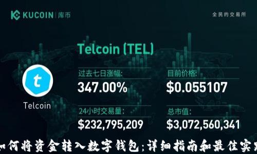 
如何将资金转入数字钱包：详细指南和最佳实践