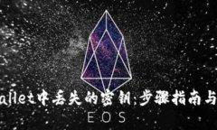 如何找回tpWallet中丢失的密