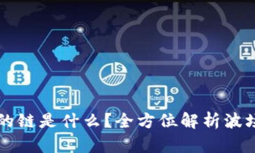 TP波场钱包转账的链是什么？全方位解析波场链及其交易细节