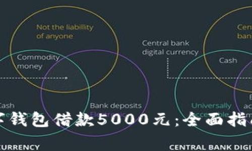 如何通过数字钱包借款5000元：全面指南与注意事项