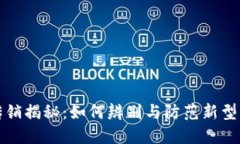 数字钱包的传销揭秘：如