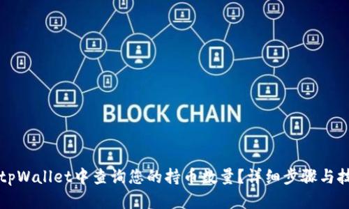 如何在tpWallet中查询您的持币数量？详细步骤与技巧指导