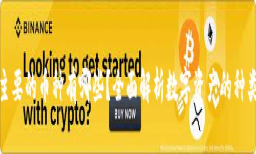 数字钱包中主要的币种有哪些？全面解析数字资产的种类与发展趋势