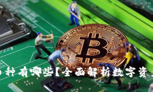 数字钱包中主要的币种有哪些？全面解析数字资产的种类与发展趋势