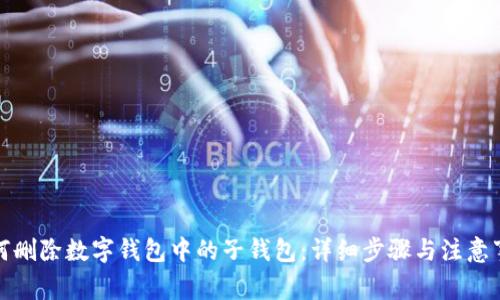 如何删除数字钱包中的子钱包：详细步骤与注意事项