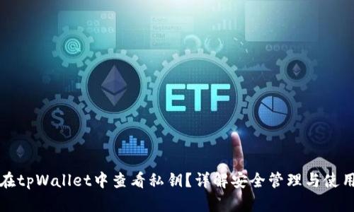 如何在tpWallet中查看私钥？详解安全管理与使用技巧
