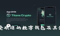 南非最受欢迎的数字钱包