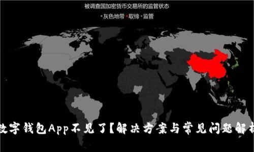 数字钱包App不见了？解决方案与常见问题解析