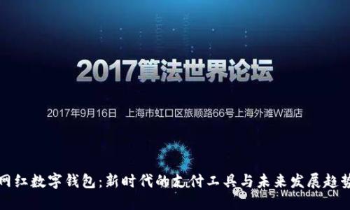 网红数字钱包：新时代的支付工具与未来发展趋势