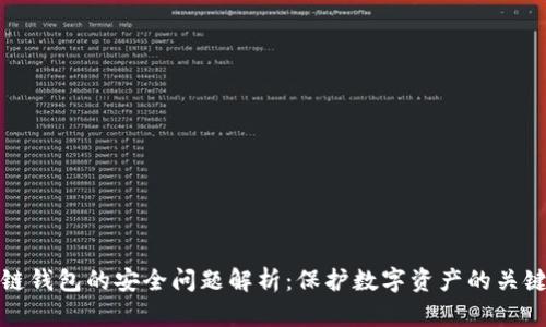 区块链钱包的安全问题解析：保护数字资产的关键措施
