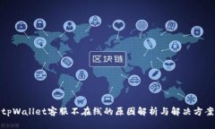 tpWallet客服不在线的原因解析与解决方案