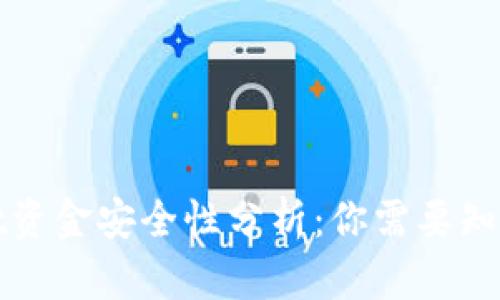 tpWallet资金安全性分析:你需要知道的一切