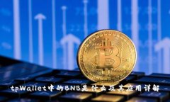 tpWallet中的BNB是什么及其应用详解