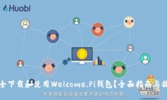如何安全下载和使用Welcome.Pi钱包?全面指南与操